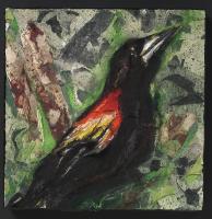 Blackbird