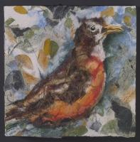 Robin