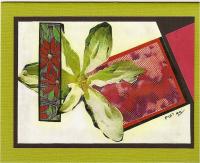 Poinsettia