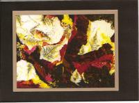 Woods and Ferns card