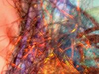 penthesilea-close-up-thumbnail.jpg